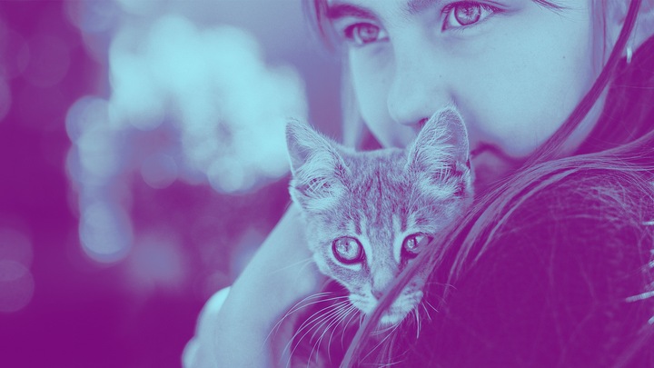 Immagine prodotto Adobe Photoshop Elements 2021 (1 Utente, Senza limiti)