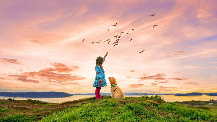 Immagine prodotto Adobe Photoshop Elements 2021 (1 Utente, Senza limiti)