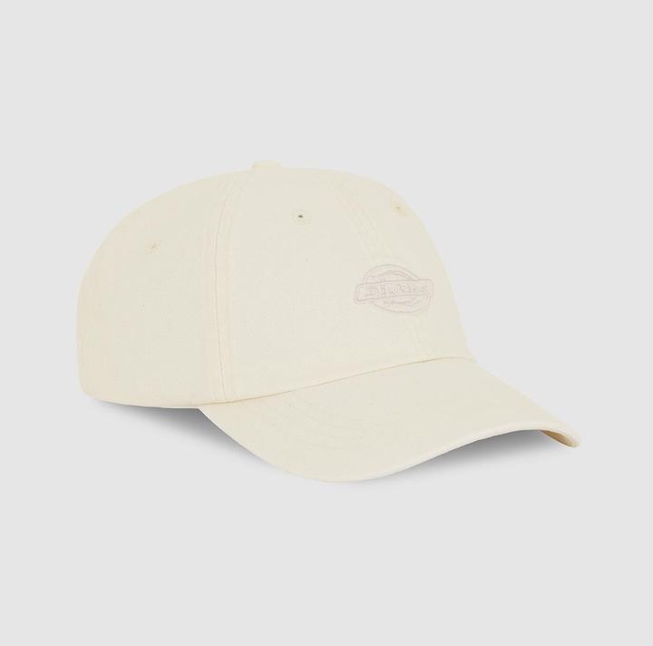 Produktbild Dickies Duck Canvas Dad Cap