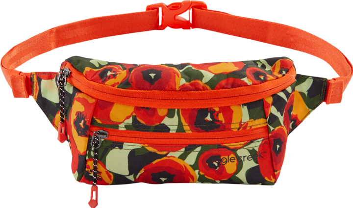Image du produit Eagle Creek Sac à bandoulière Stash