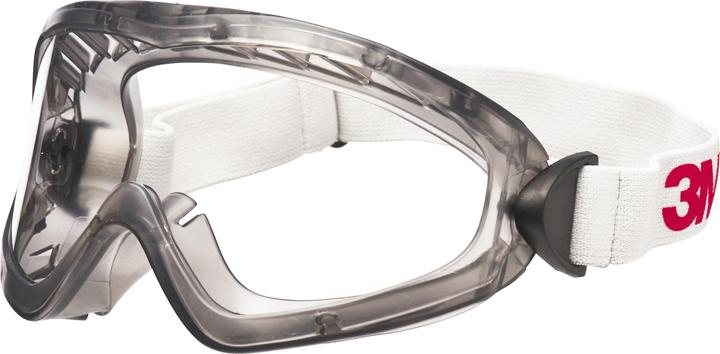 3M Vollsichtbrille 2890S
