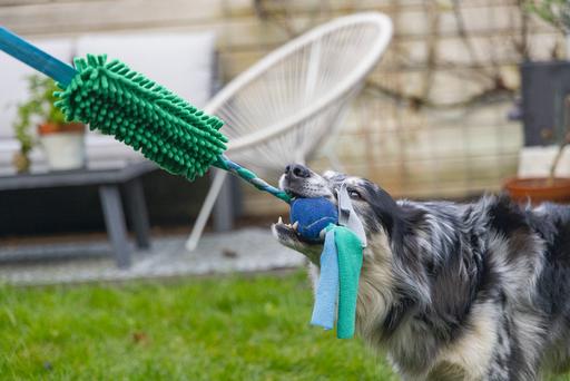 Produktbild Beeztees Ente (Ballspielzeug Hund)