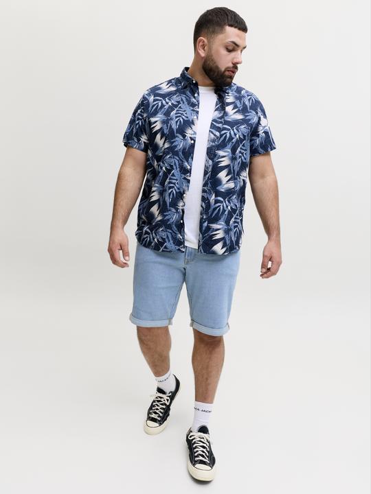 Image du produit Jack & Jones Plus Size Regular Fit Regular Fit Shorts Regular Fit Shorts (48)