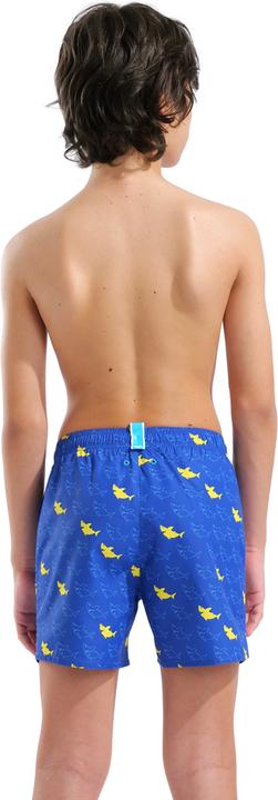 Image du produit Arena B Beach Boxer Allover (152)