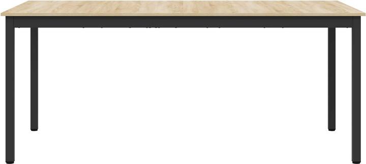 Image du produit vidaXL Esstisch (180 x 90 x 75 cm)