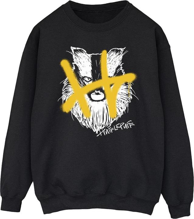 Actual product image Mens Hufflepuff Pop Spray Sweatshirt (XL)