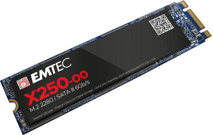 Actual product image Emtec X250 (1000 GB, M.2 2280)