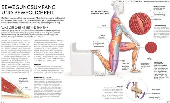 Actual product image Malek:Stretching - Die Anatomie versteh (German, Leada Malek, 2023)