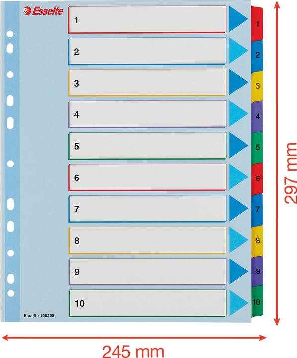 Image du produit Esselte - diviseur - 10 pièces - pour A4 Maxi - onglet (pack de 10)