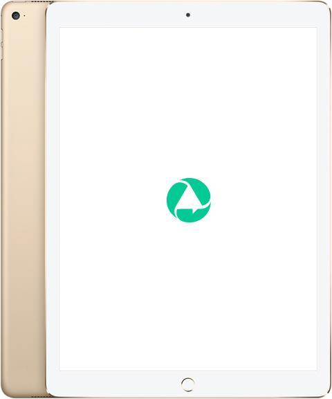 remarket.ch iPad Pro 12.9 2015 (1. Gen) (12.90", 128 Go, Or, B / Très bon)