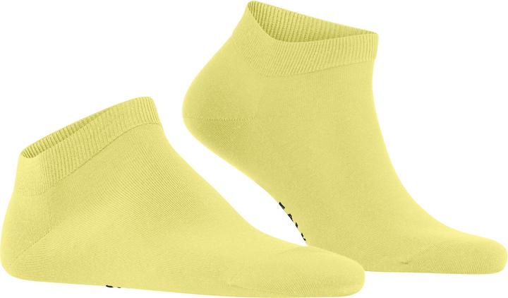 Produktbild Falke ClimaWool Herren (45 - 46)