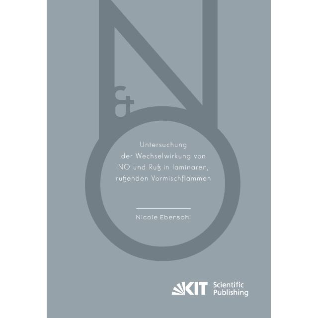 Untersuchung der Wechselwirkung von NO und Russ in laminaren, russenden Vormischflammen, Fachbücher