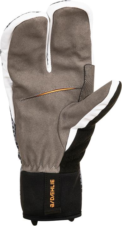 Image du produit Daehlie Claw Active (M)