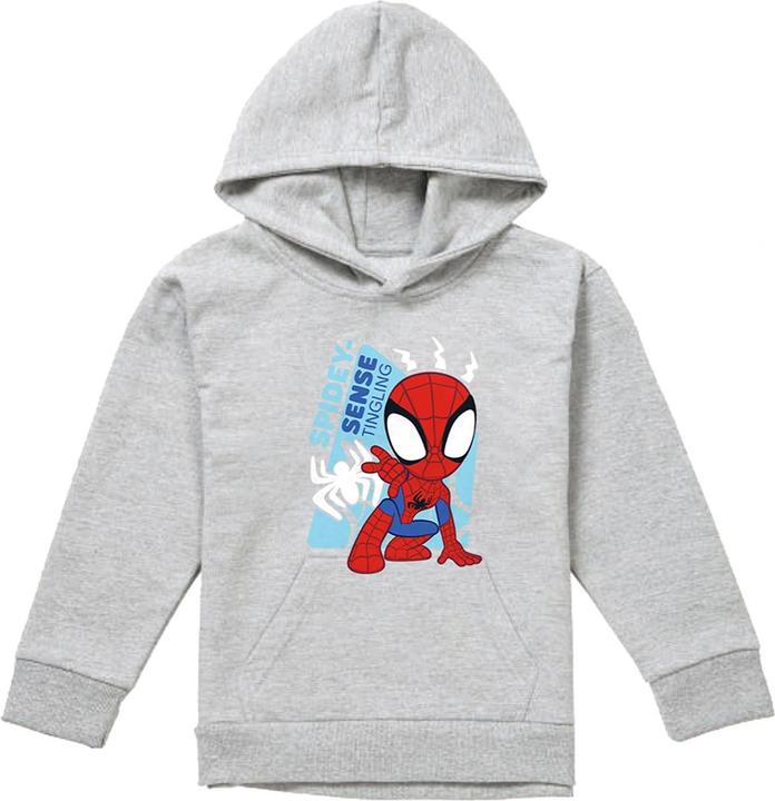 Produktbild Spidey Senses Kapuzenpullover Zum Überziehen (116)
