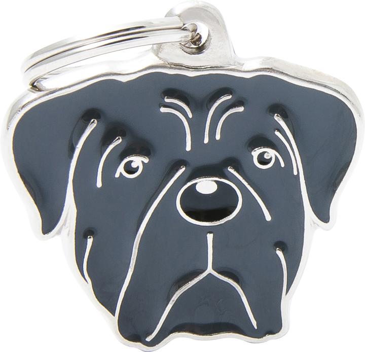 halsband golden retriever Hundehalsband 