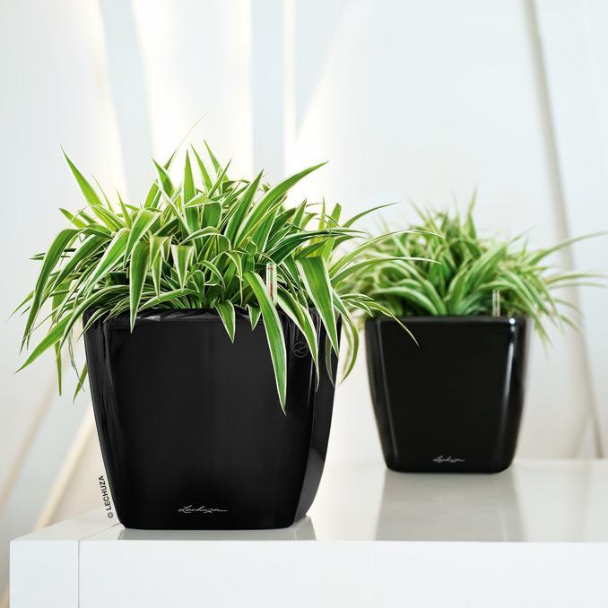Produktbild Lechuza Quadro LS 21 (22.50 cm)
