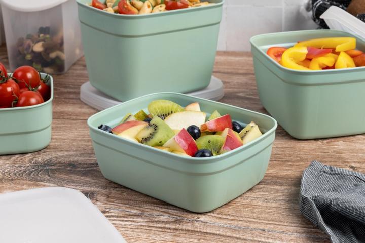 Immagine prodotto Amuse Optifridge Organic Plus (0.60 l)