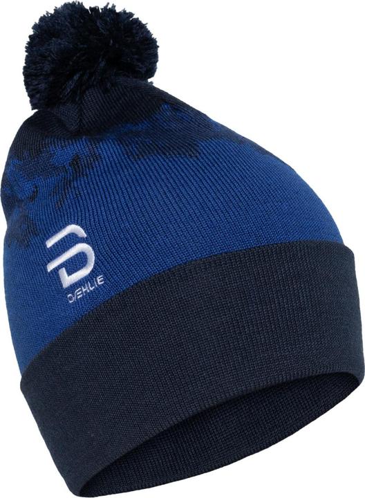 Produktbild Daehlie Champion (One Size)