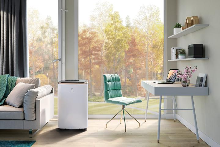 Image du produit Electrolux Chill Flex Pro Gold (40 m², 9000 BTU/h)