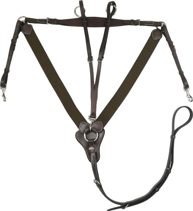 Image du produit Brustgeschirr VForm