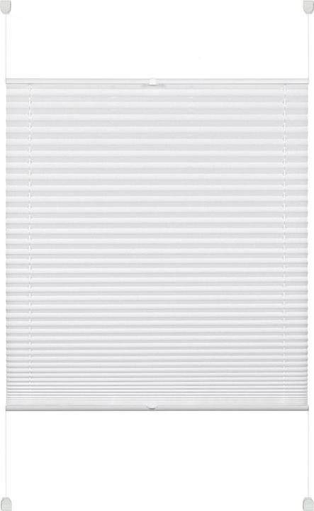 Gardinia Pia (90 x 130 cm)