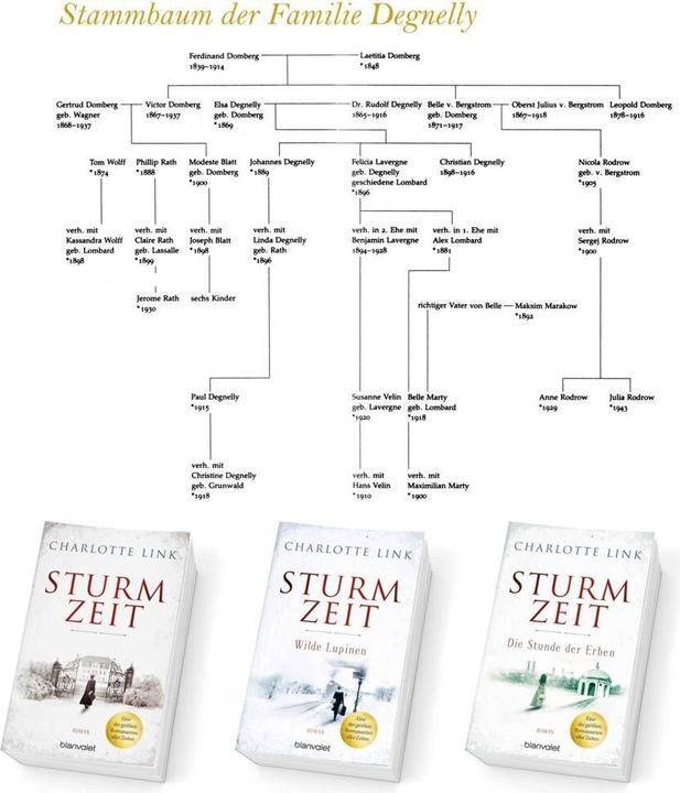 Produktbild Sturmzeit (Deutsch, Charlotte Link, 2018)