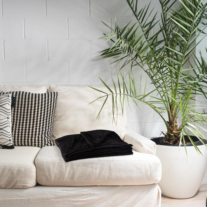 Produktbild Relaxdays Kuscheldecke (150 x 200 cm)
