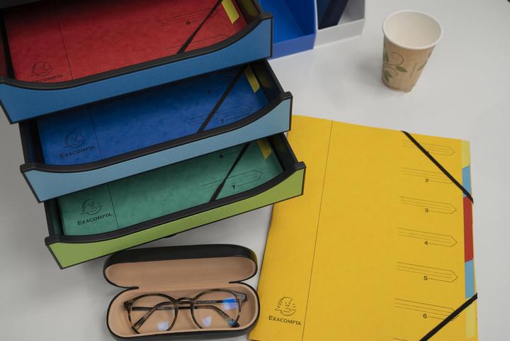 Actual product image Exacompta Stapled file folders (A4, 1x)