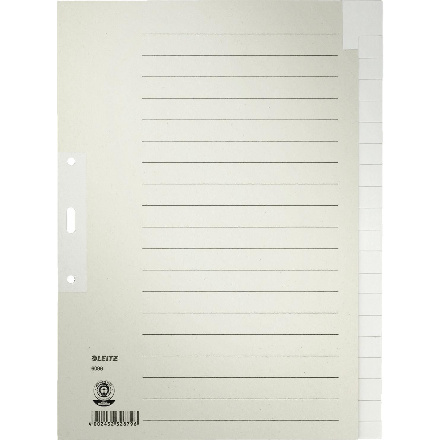 10x Leitz, Ordner Zubehör, Tauenpapier-Register, blanko, A4, 20-teilig, grau 100 g-qm, Lochung: 80 mm, mit Lochverstärku...