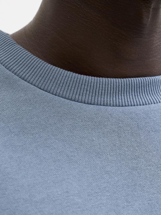 Produktbild Jack & Jones Jjebradley Sweat Crew Noos (M)