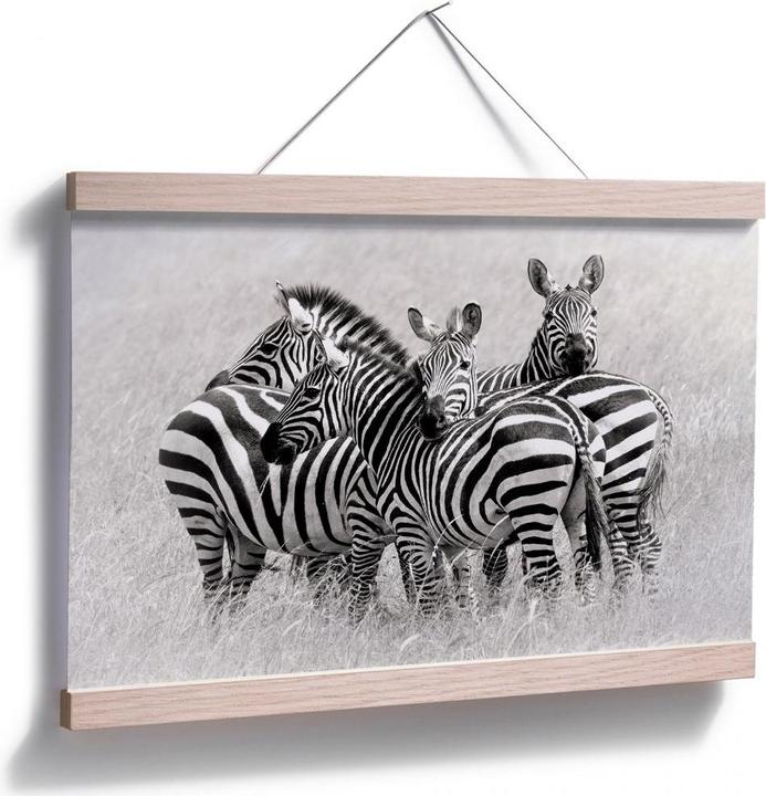 Image du produit Trenddeko Trubitsyn - Zèbres dans la savane (45 x 30 cm)