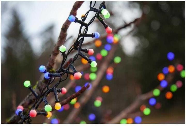 Produktbild Star Trading Berry Mini (6 m)