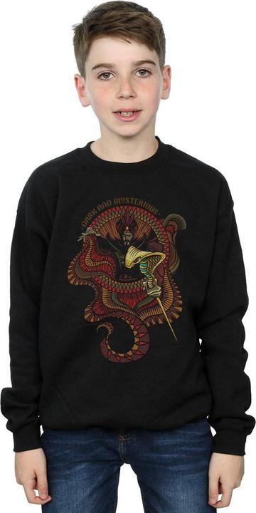 Image du produit Disney - Sweat ALADDIN - Garçon (104)
