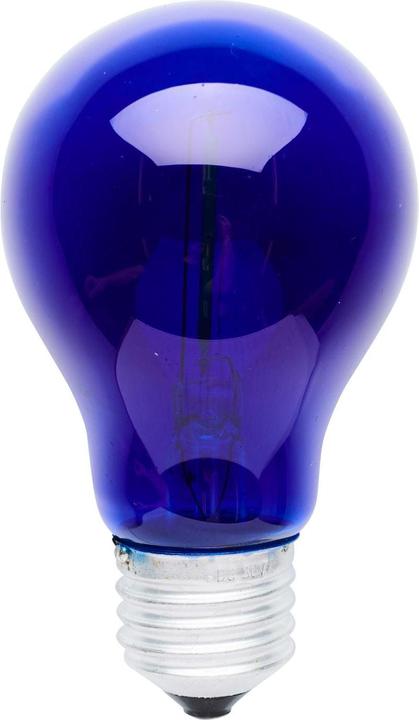 Actual product image Sirius Replacement bulb Tobias replacement bulb for light chain, blue (0.10 m)