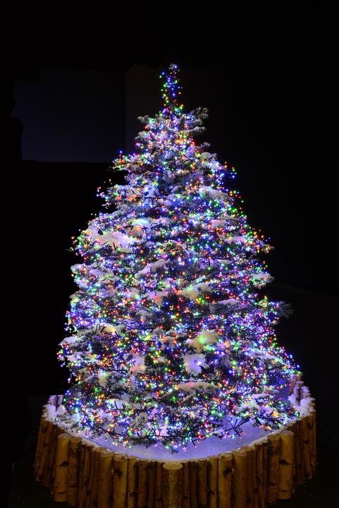 Produktbild Konstsmide Cluster (12.20 m)