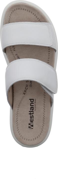 Actual product image Westland 25403-409 (41)