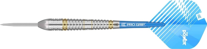 Target Phil Taylor Brass (22 g)