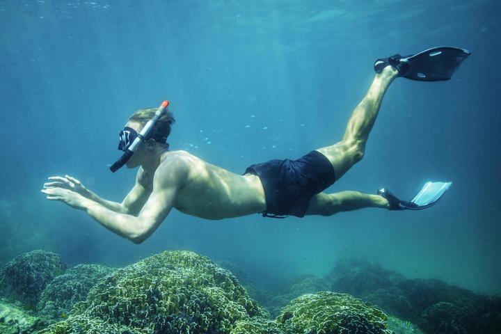 Actual product image Bestway Hydro-Pro BlackSea Snorkel & Fin Set, Adult, Half face mask, Tempered glass, Assorted colour