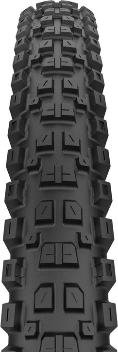 Immagine prodotto Pirelli CAST Protagonist DH Enduro HD (29 x 2.40, 60-622)