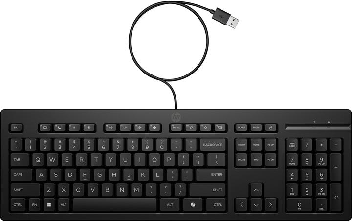 HP 2 USB Wd Kbd (Kabelgebunden)