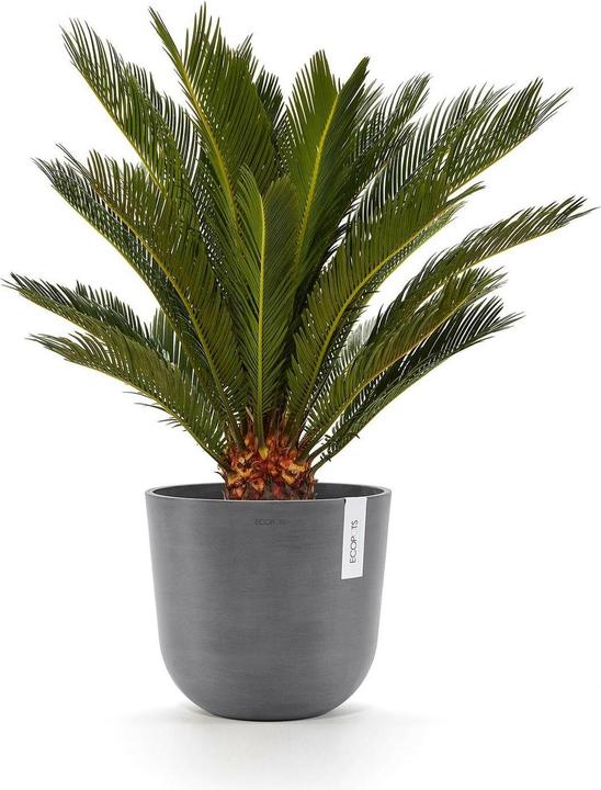 Produktbild Ecopots Oslo (35 x 30.50 cm)