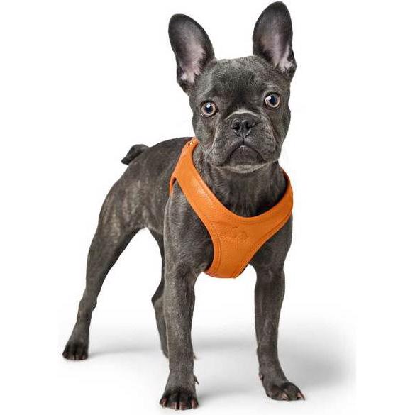 Thumbnail - Hunter Geschirr Hilo (XXS, Hund), Halsband + Leine