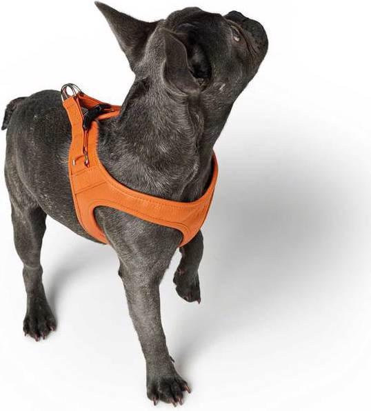 Produktbild Hunter Geschirr Hilo (S, XS, Hund)