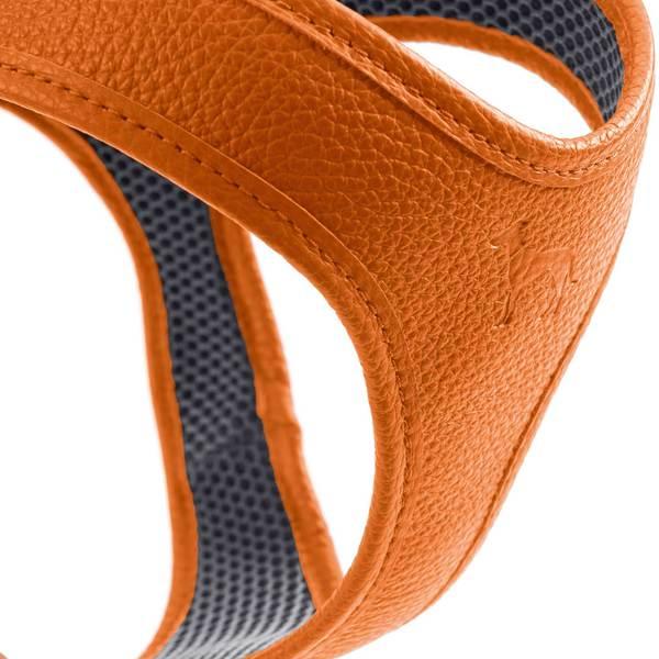 Hunter Geschirr Hilo (XXS, Hund), Halsband + Leine