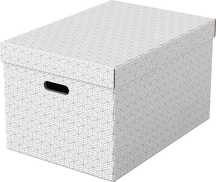 Actual product image Esselte HOME - Storage boxes (A3)