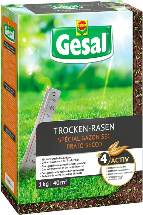 Gesal Prato gran sole (Risemina del prato)