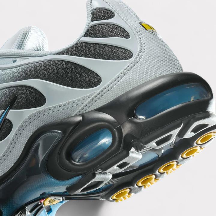 Image du produit Nike Air Max Plus (41)