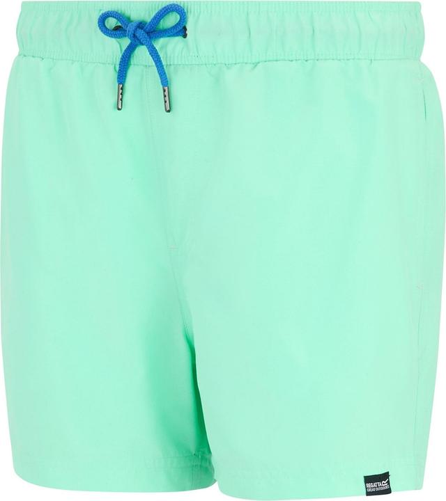 Produktbild Regatta Mawson II Kurze Hose (L)