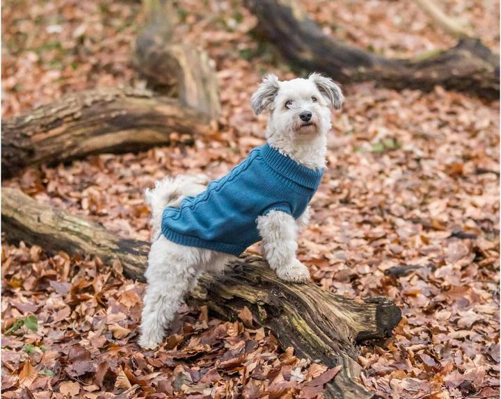 Produktbild Trixie Pullover Kenton L, 60 cm, Blau (L, Hundepullover)