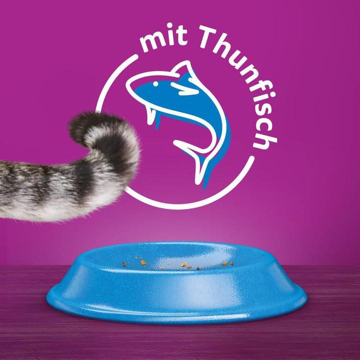 Actual product image Whiskas Dry Food Adult Tuna, 950 g (Adult, 1 pcs., 950 g)